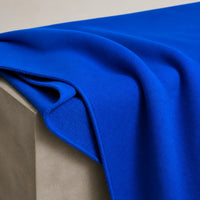 COLOR: Royal Blue | Heavy French Terry, 22 oz | view 2